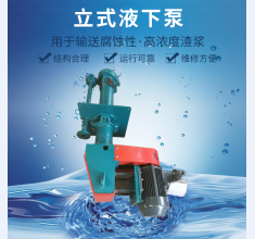立式液(yè)下泵
