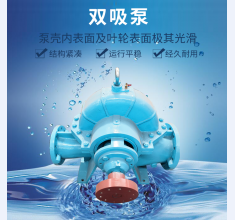 雙(shuāng)吸泵